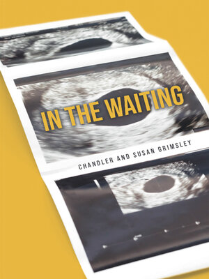 cover image of In the Waiting